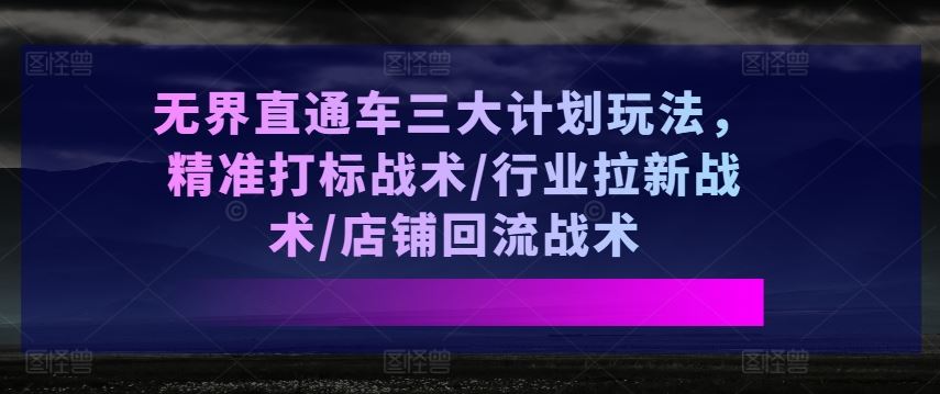 无界直通车三大计划玩法，精准打标战术/行业拉新战术/店铺回流战术-3YVIP资源库