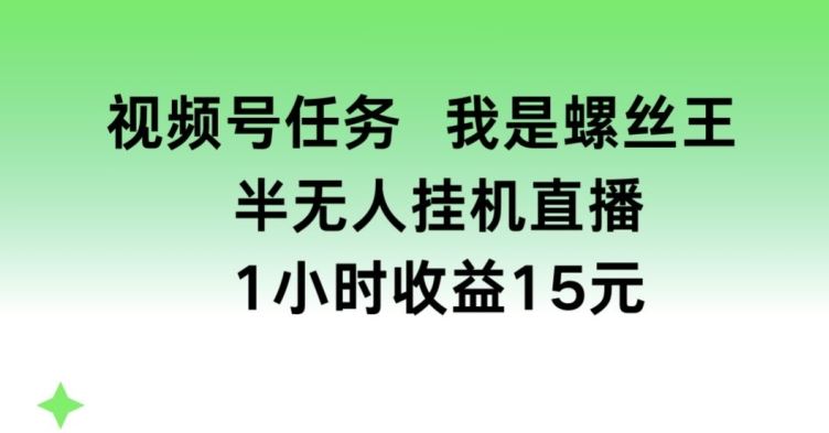 视频号任务，我是螺丝王， 半无人挂机1小时收益15元【揭秘】-3YVIP资源库