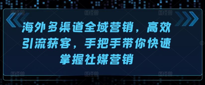 海外多渠道全域营销，高效引流获客，手把手带你快速掌握社媒营销-3YVIP资源库