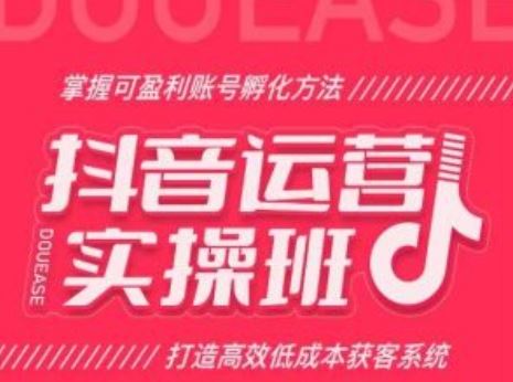 抖音运营实操班，掌握可盈利账号孵化方法，打造高效低成本获客系统-3YVIP资源库