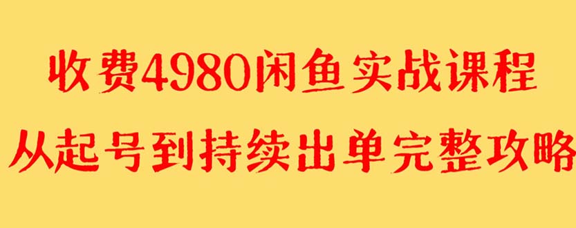 （8359期）外面收费4980闲鱼无货源实战教程 单号4000+-3YVIP资源库
