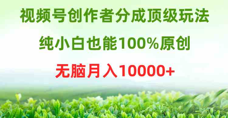 （9608期）视频号创作者分成顶级玩法，纯小白也能100%原创，无脑月入10000+-3YVIP资源库