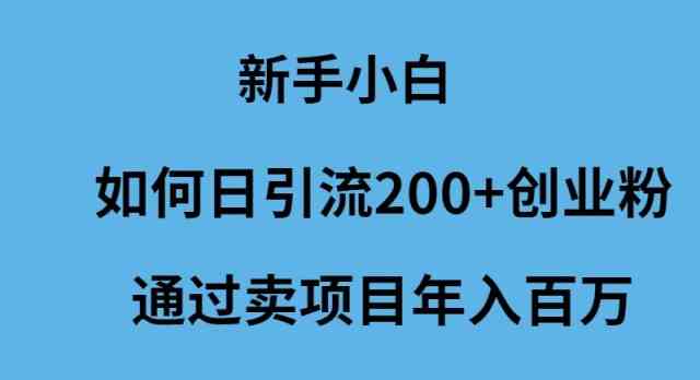 （9668期）新手小白如何日引流200+创业粉通过卖项目年入百万-3YVIP资源库