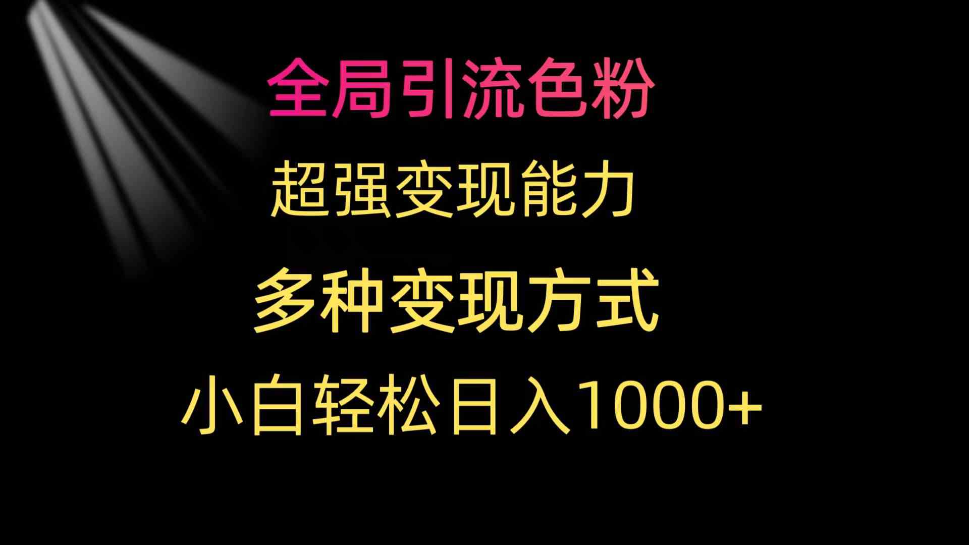 （9680期）全局引流色粉 超强变现能力 多种变现方式 小白轻松日入1000+-3YVIP资源库