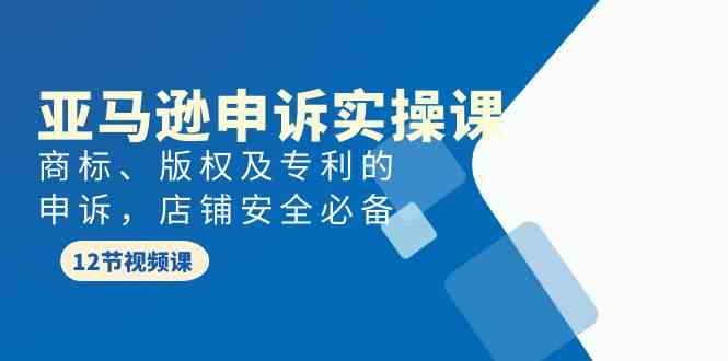 （9754期）亚马逊-申诉实战课，​商标、版权及专利的申诉，店铺安全必备-3YVIP资源库
