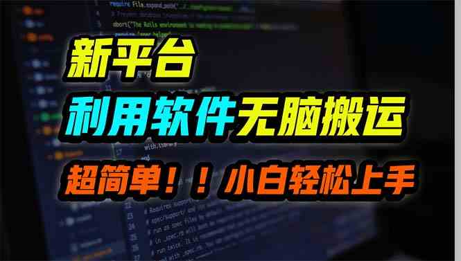 （9745期）新平台用软件无脑搬运，月赚10000+，小白也能轻松上手-3YVIP资源库