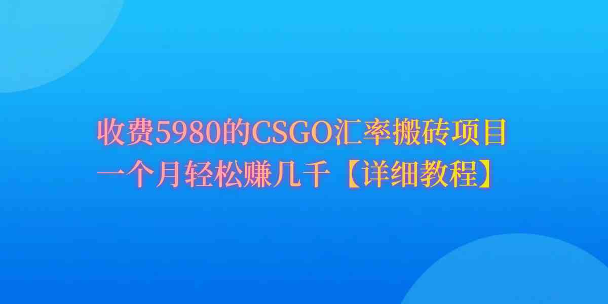 （9776期）CSGO装备搬砖，月综合收益率高达60%，你也可以！-3YVIP资源库