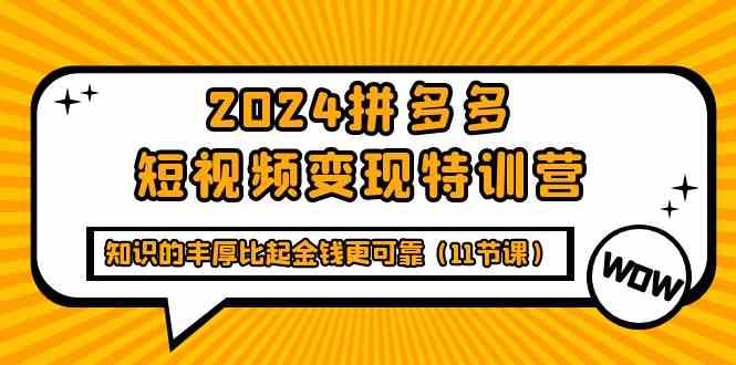 （9817期）2024拼多多短视频变现特训营，知识的丰厚比起金钱更可靠（11节课）-3YVIP资源库