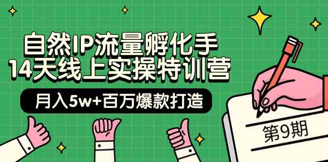 （9881期）自然IP流量孵化手 14天线上实操特训营【第9期】月入5w+百万爆款打造 (74节)-3YVIP资源库