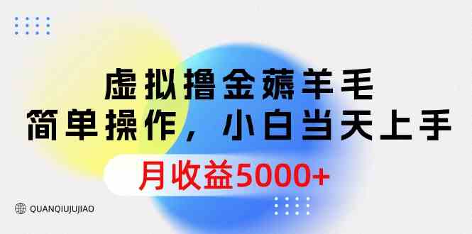 （9864期）虚拟撸金薅羊毛，简单操作，小白当天上手，月收益5000+-3YVIP资源库