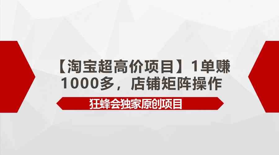 （9849期）【淘宝超高价项目】1单赚1000多，店铺矩阵操作-3YVIP资源库