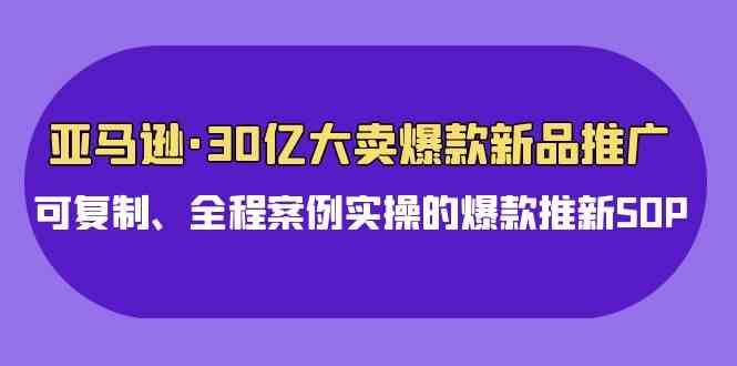 （9944期）亚马逊30亿·大卖爆款新品推广，可复制、全程案例实操的爆款推新SOP-3YVIP资源库