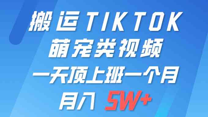 （9931期）一键搬运TIKTOK萌宠类视频 一部手机即可操作 所有平台均可发布 轻松月入5W+-3YVIP资源库