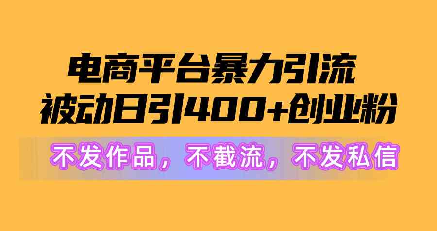 （10168期）电商平台暴力引流,被动日引400+创业粉不发作品，不截流，不发私信-3YVIP资源库