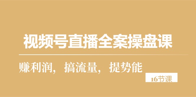 （10207期）视频号直播全案操盘课，赚利润，搞流量，提势能（16节课）-3YVIP资源库