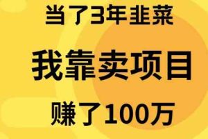 （10149期）当了3年韭菜，我靠卖项目赚了100万-3YVIP资源库