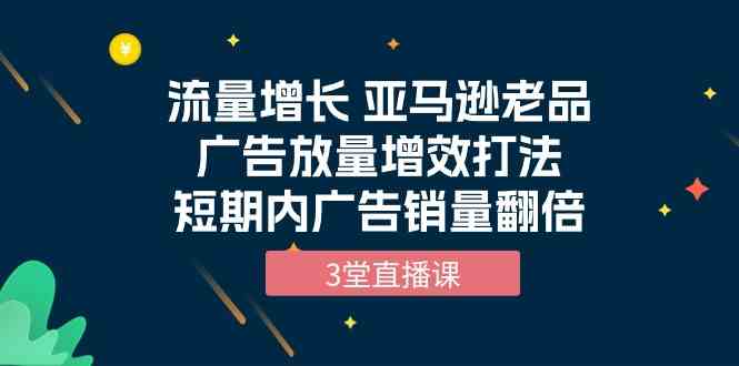 （10112期）流量增长 亚马逊老品广告放量增效打法，短期内广告销量翻倍（3堂直播课）-3YVIP资源库