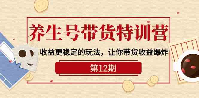 （10110期）养生号带货特训营【12期】收益更稳定的玩法，让你带货收益爆炸-9节直播课-3YVIP资源库