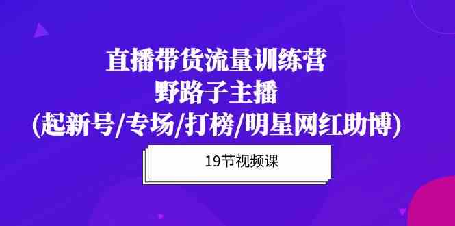 （10016期）直播带货流量特训营，野路子主播(起新号/专场/打榜/明星网红助博)19节课-3YVIP资源库