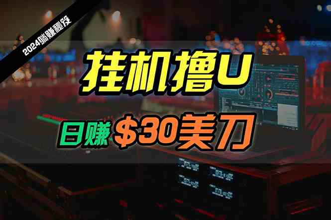 （10013期）日赚30美刀，2024最新海外挂机撸U内部项目，全程无人值守，可批量放大-3YVIP资源库