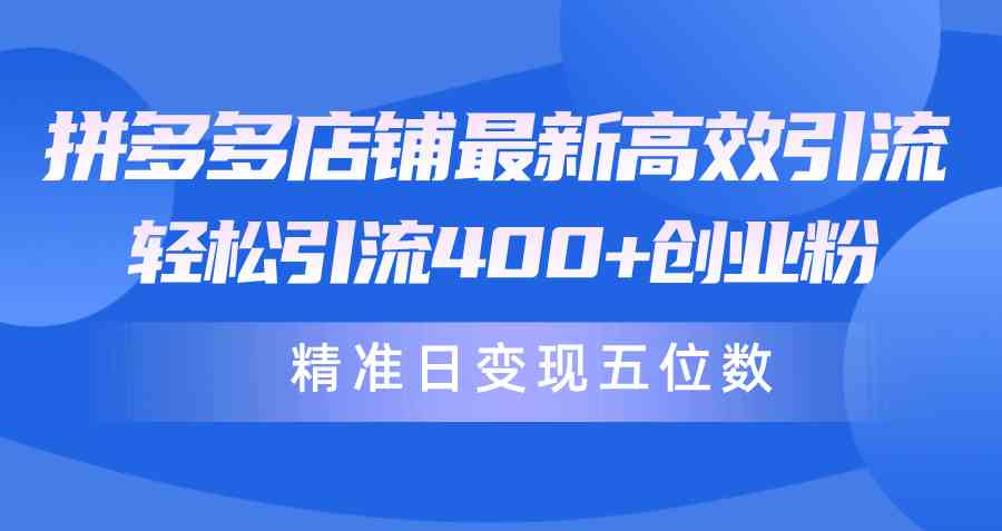 （10041期）拼多多店铺最新高效引流术，轻松引流400+创业粉，精准日变现五位数！-3YVIP资源库