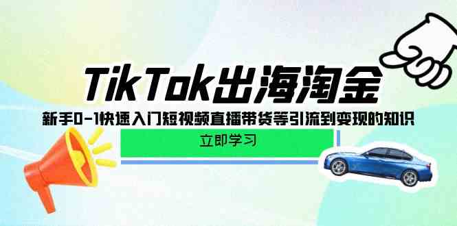 （10035期）TikTok-出海淘金，新手0-1快速入门短视频直播带货等引流到变现的知识-3YVIP资源库