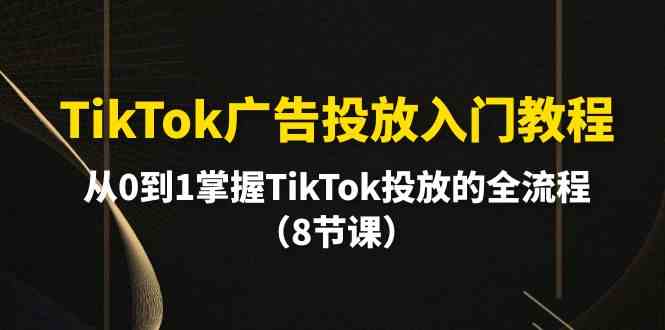 （10085期）TikTok广告投放入门教程，从0到1掌握TikTok投放的全流程（8节课）-3YVIP资源库