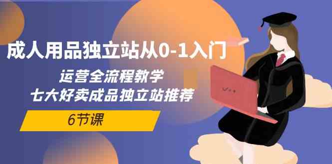 （10082期）成人用品独立站从0-1入门，运营全流程教学，七大好卖成品独立站推荐-6节课-3YVIP资源库