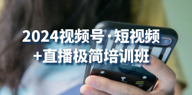 （10797期）2024视频号·短视频+直播极简培训班：抓住视频号风口，流量红利-3YVIP资源库