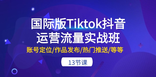 （10712期）国际版Tiktok抖音运营流量实战班：账号定位/作品发布/热门推送/等等-13节-3YVIP资源库