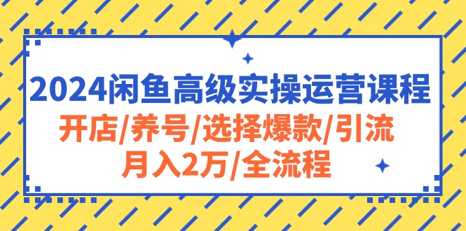 （10711期）2024闲鱼高级实操运营课程：开店/养号/选择爆款/引流/月入2万/全流程-3YVIP资源库