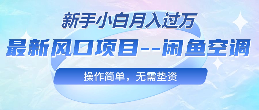 （10767期）最新风口项目—闲鱼空调，新手小白月入过万，操作简单，无需垫资-3YVIP资源库