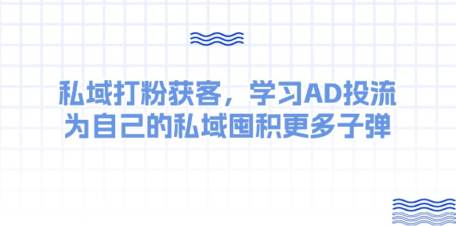 （10728期）某收费课：私域打粉获客，学习AD投流，为自己的私域囤积更多子弹-3YVIP资源库