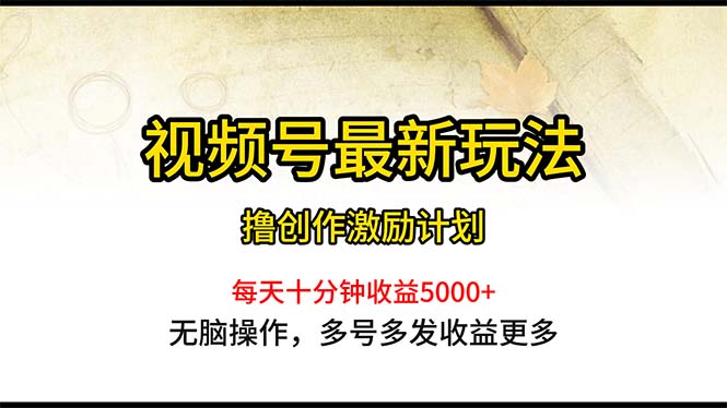 （10591期）视频号最新玩法，每日一小时月入5000+-3YVIP资源库