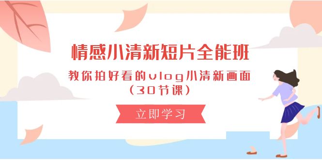 （10567期）情感 小清新短片-全能班，教你拍好看的vlog小清新画面 (30节课)-3YVIP资源库