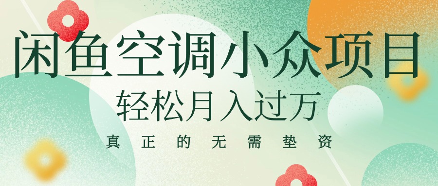 （10525期）闲鱼卖空调小众项目 轻松月入过万 真正的无需垫资金-3YVIP资源库