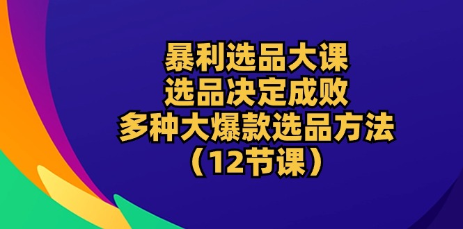 （10521期）暴利 选品大课：选品决定成败，教你多种大爆款选品方法（12节课）-3YVIP资源库