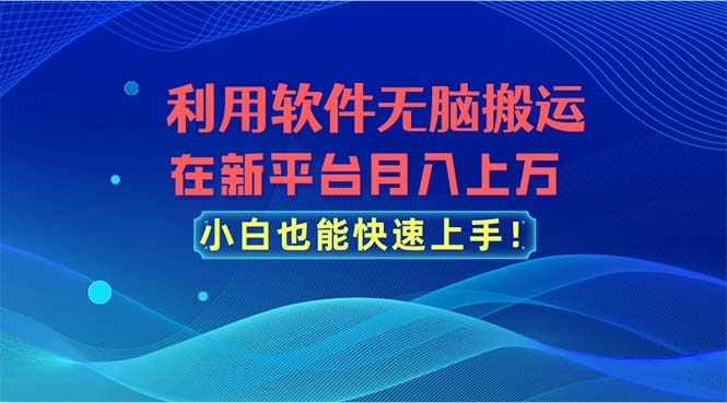 （11078期）利用软件无脑搬运，在新平台月入上万，小白也能快速上手-3YVIP资源库