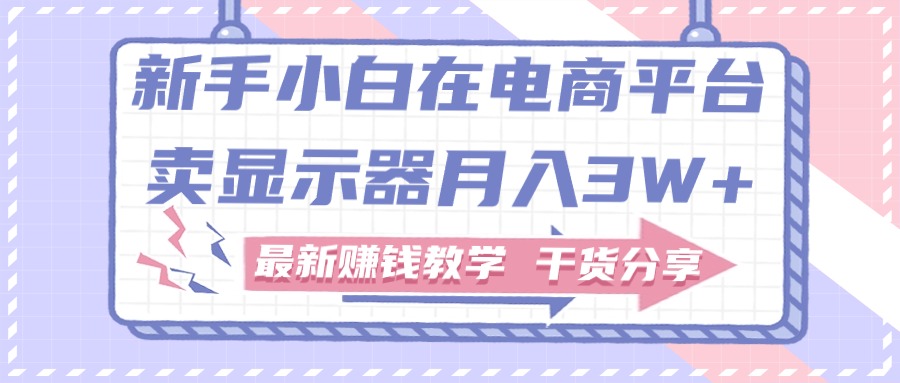 （11053期）新手小白如何做到在电商平台卖显示器月入3W+，最新赚钱教学干货分享-3YVIP资源库