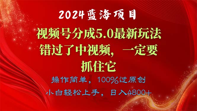 （11032期）2024蓝海项目，视频号分成计划5.0最新玩法，错过了中视频，一定要抓住…-3YVIP资源库