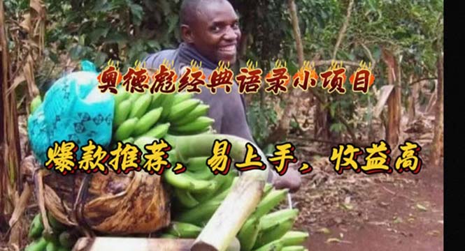 （11030期）奥德彪经典语录小项目，爆款推荐，易上手，收益高-3YVIP资源库