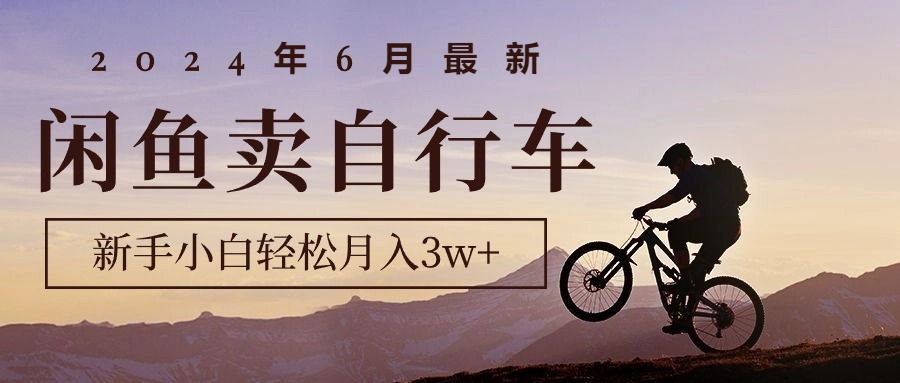 （10915期）2024年6月最新闲鱼卖自行车，新手小白轻松月入3w+项目-3YVIP资源库