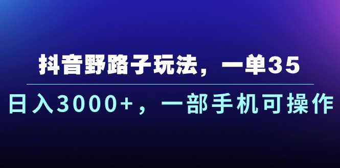 （10909期）抖音野路子玩法，一单35.日入3000+，一部手机可操作-3YVIP资源库