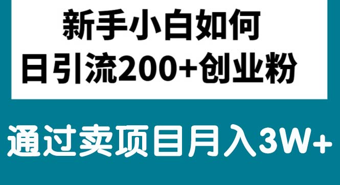 （10843期）新手小白日引流200+创业粉,通过卖项目月入3W+-3YVIP资源库
