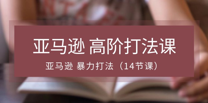 （10870期）亚马逊 高阶打法课，亚马逊 暴力打法（14节课）-3YVIP资源库