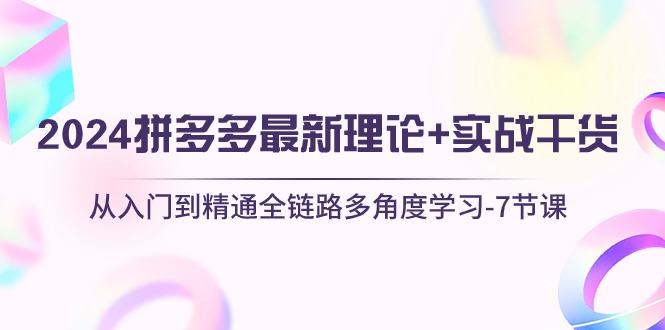 （10816期）2024拼多多 最新理论+实战干货，从入门到精通全链路多角度学习-7节课-3YVIP资源库