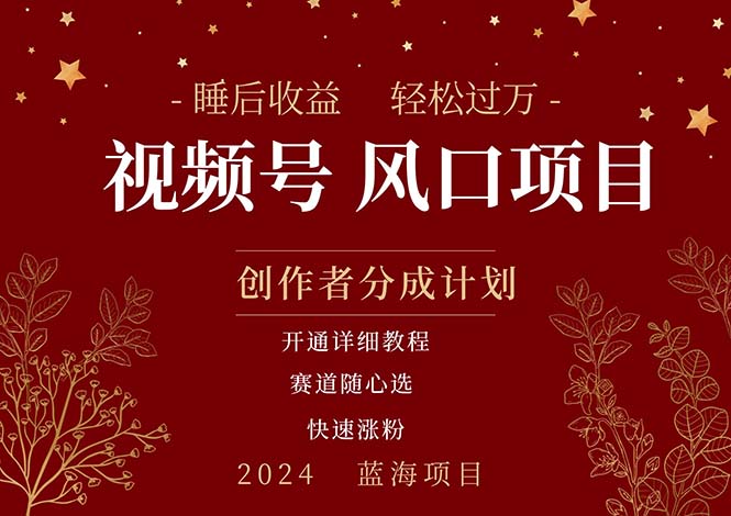 （11331期）拥有睡眠收益的微信视频号大风口项目，轻松月入过万+，多赛道选择，可…-3YVIP资源库