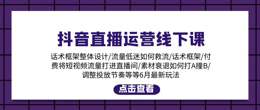 （11211期）抖音直播运营线下课：话术框架/付费流量直播间/素材A撞B/等6月新玩法-3YVIP资源库