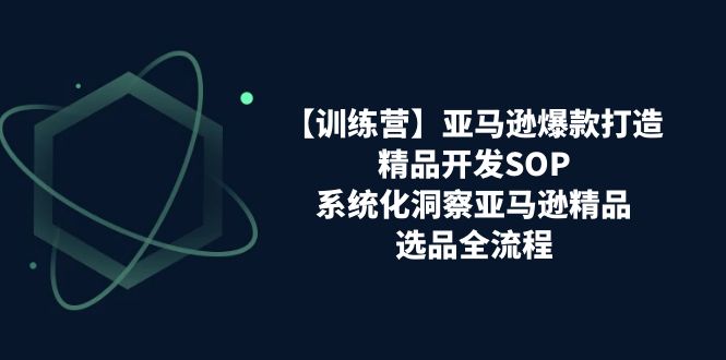 （11210期）【训练营】亚马逊爆款打造之精品开发SOP，系统化洞察亚马逊精品选品全流程-3YVIP资源库