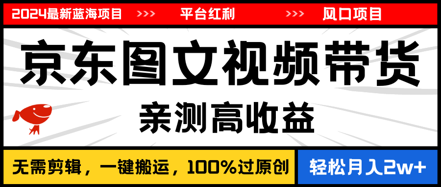 （11147期）2024最新蓝海项目，逛逛京东图文视频带货，无需剪辑，月入20000+-3YVIP资源库